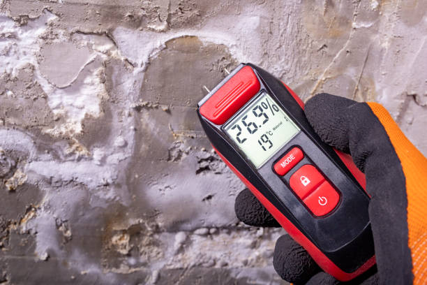 Professional Mold Removal in Bryn Athyn, PA